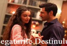Legaturile Destinului Episodul Subtitrat in Romana