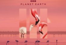 Planeta Pamani III – EPISODUL 1 Subtitrat in Romana