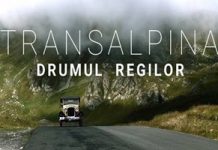 Transalpina Drumul Regilor (2017) Filme online subtitrate