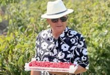 Poftiti In Dobrogea Episodul Subtitrat in Romana